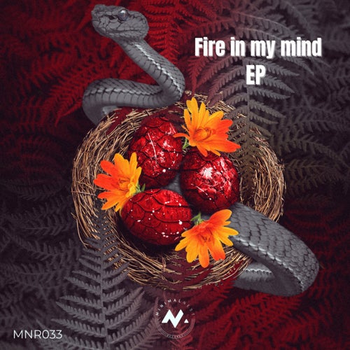 Fire In My Mind