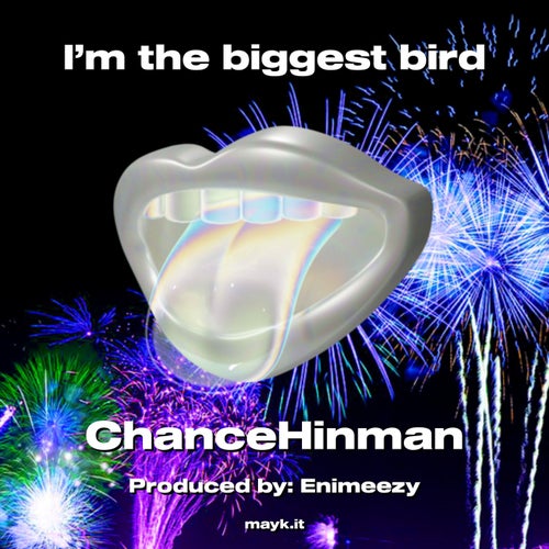 I’m the biggest bird