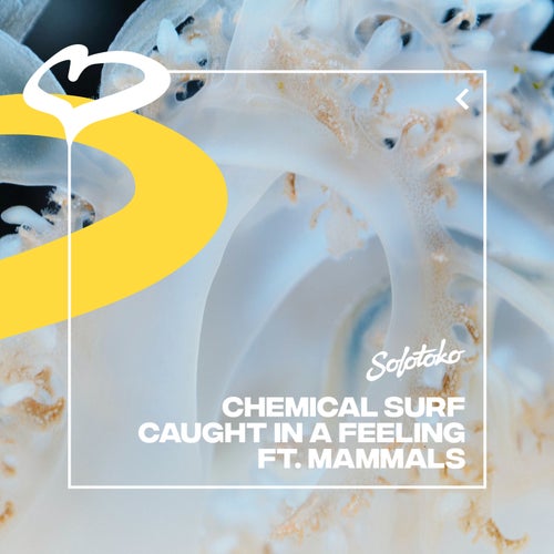 Caught In A Feeling (feat. Mammals) (Extended Mix)