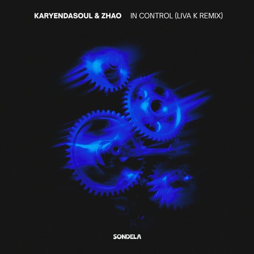 In Control (Liva K Remix)