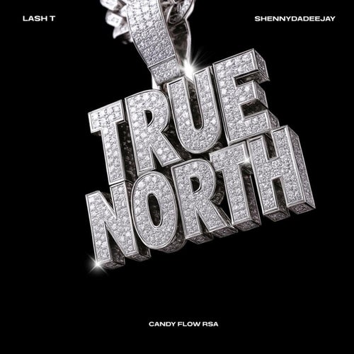 True North