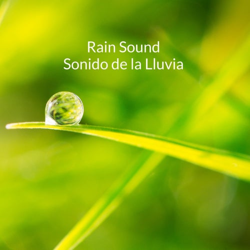Rain Sounds - Sonido de la Lluvia