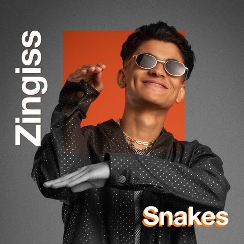 Snakes - Orange Music Talents