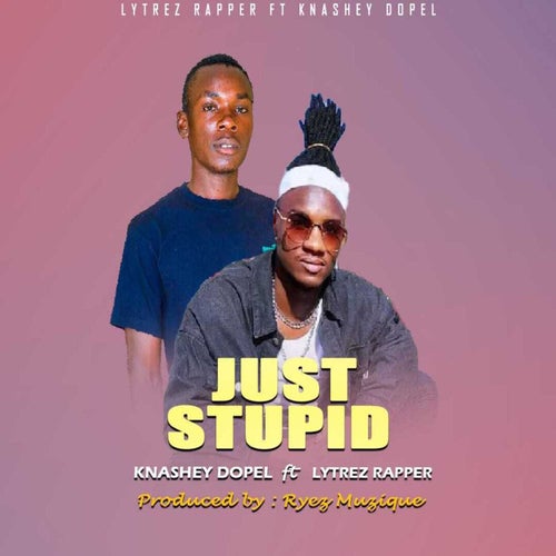 Just Stupid