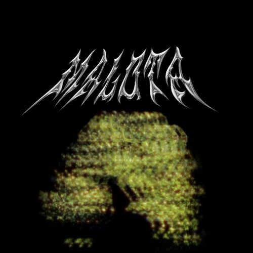 Malota