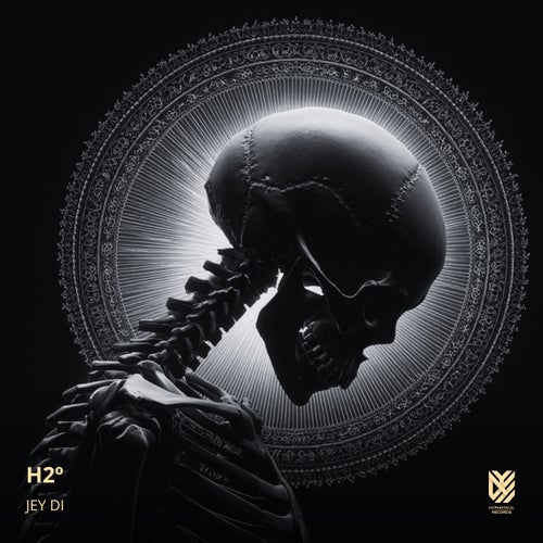 H2º