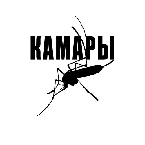 КАМАРЫ