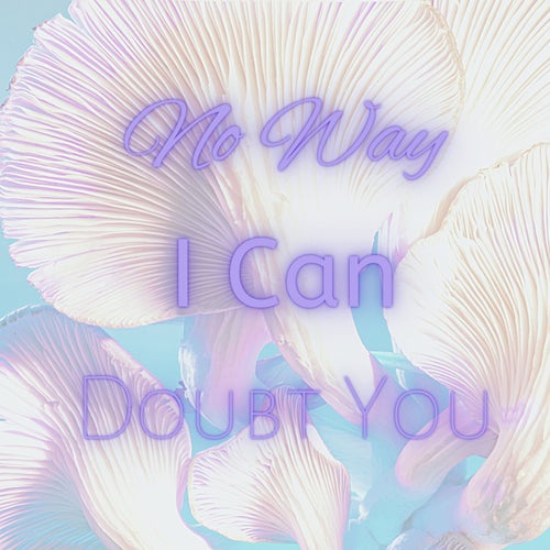 No Way I Can Doubt You