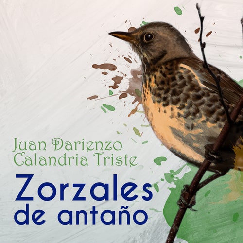 Zorzales de Antaño - Juan Darienzo - Calandria Triste