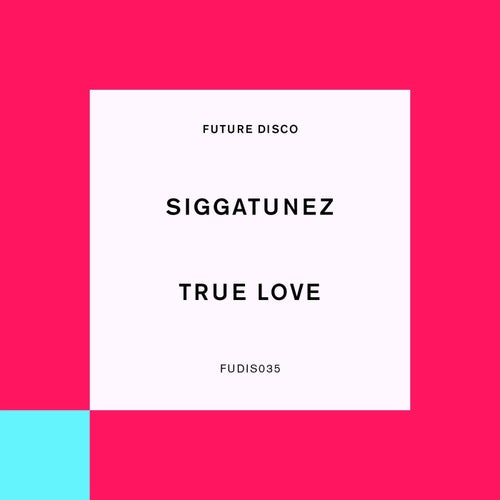 True Love (feat. Vany T Fair) (Extended Mixes)