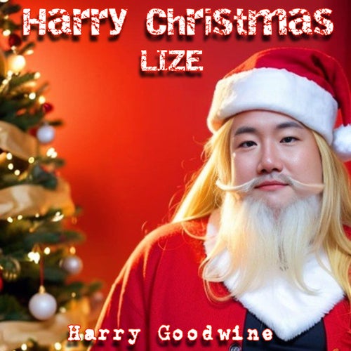 Harry Christmas