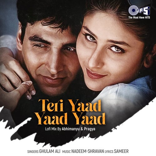 Teri Yaad Yaad Yaad (Lofi Mix)