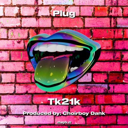 Plug