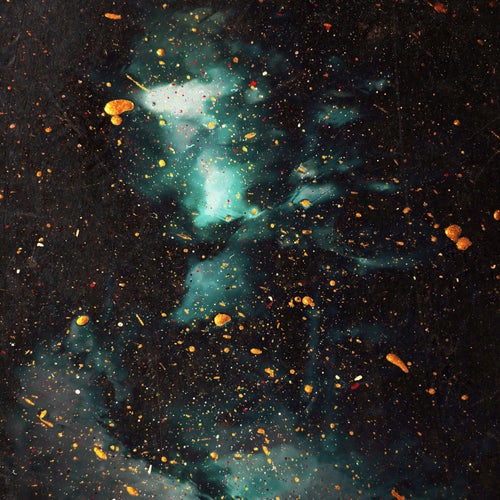 Nocturnal Meadow