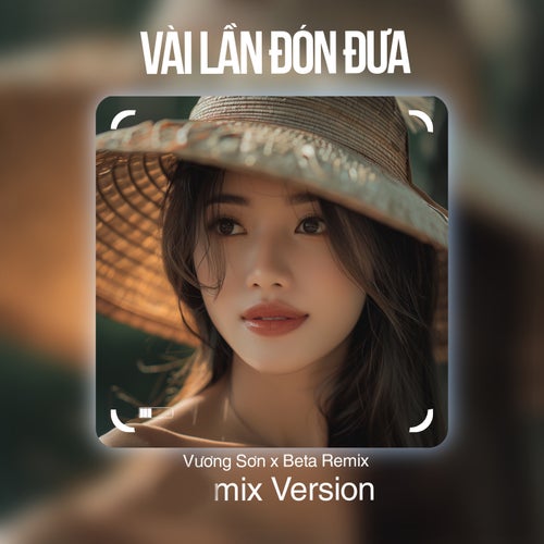 Vài Lần Đón Đưa (Remix)