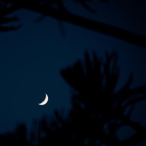 Chillout Nights (Lo-Fi Music Album)