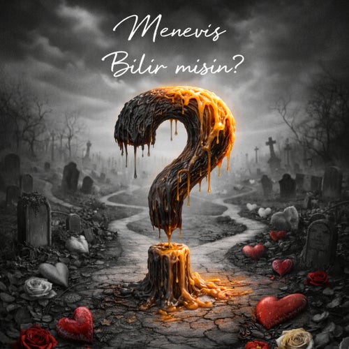 Bilir misin