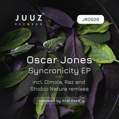 Syncronicity EP