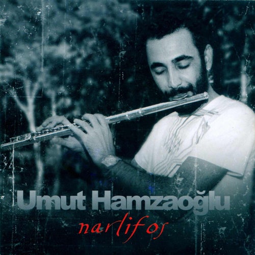 Almanya Acı Vatan