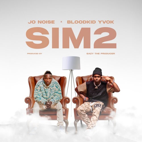 Sim 2