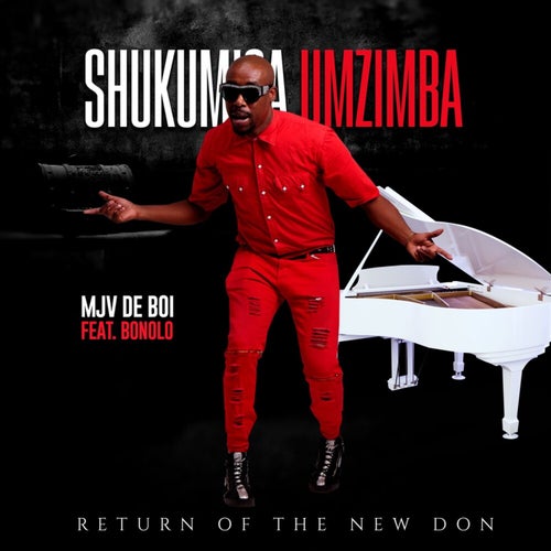 Shukumisa Umzimba