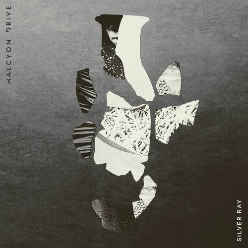 Silver Ray (Acoustic)