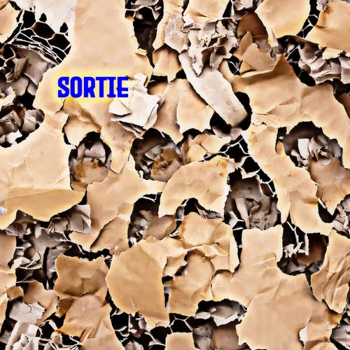Sortie