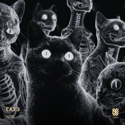CAT 3