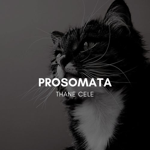 Prosomata