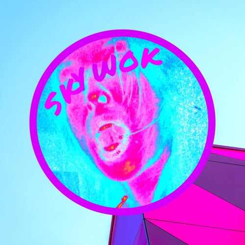 Skywok