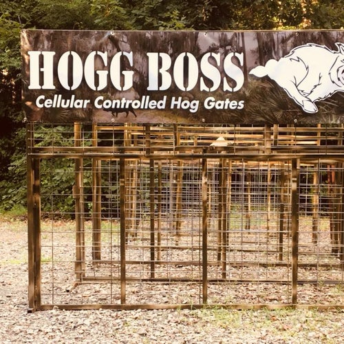 Hogg Boss Profile