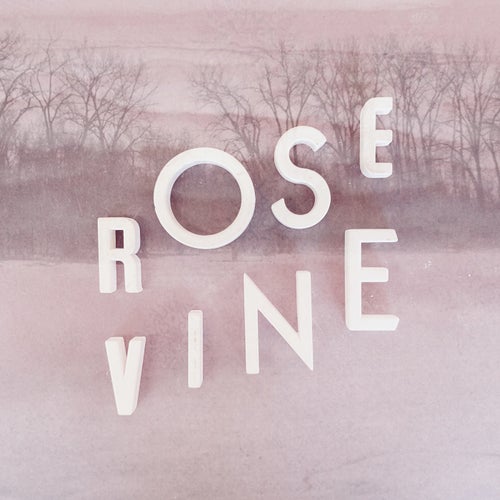 Rose Vine