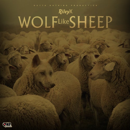 Wolf Like Sheep