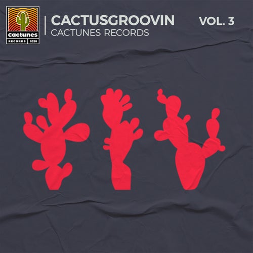 V.A. Cactusgroovin, Vol. 3