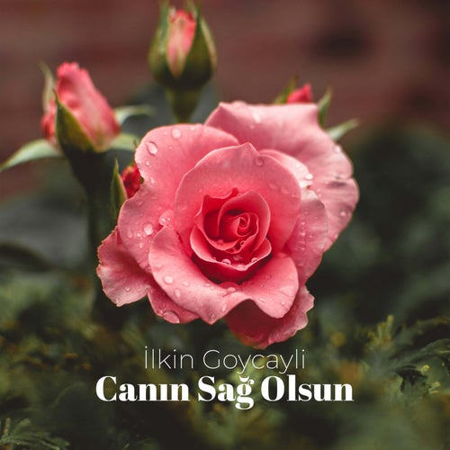Canın Sağ Olsun