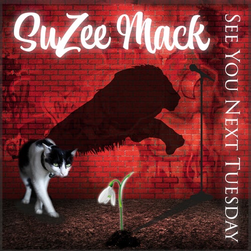 Release of the week
