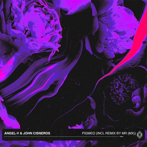 Release of the week