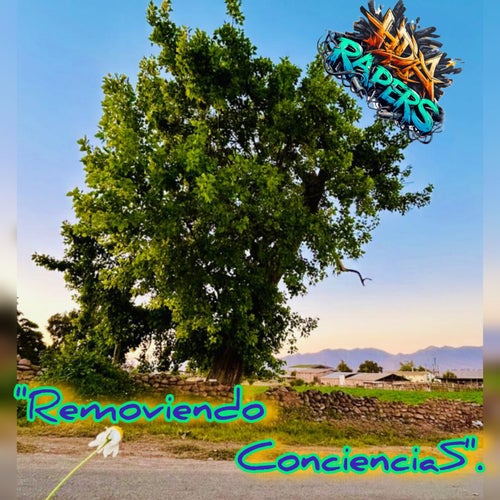 Removiendo Conciencias