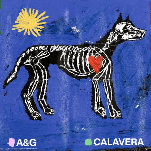 Release of the week