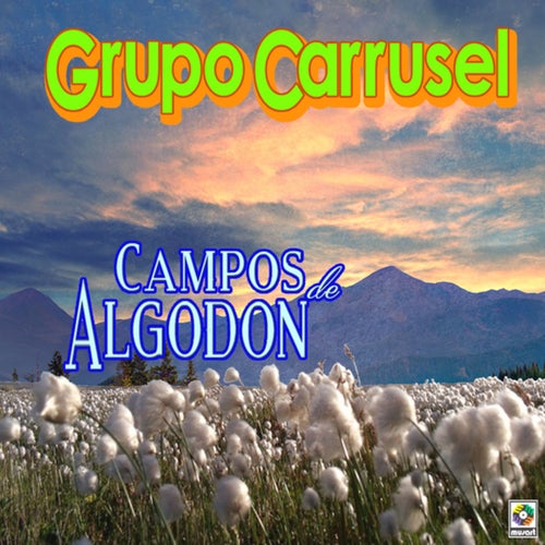 Campos De Algodón