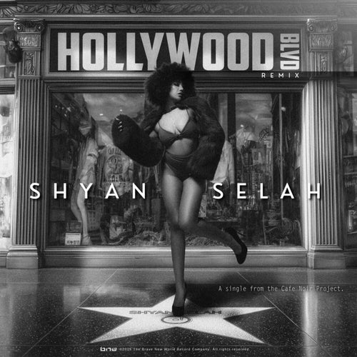 Hollywood Blvd Remix (The Cafe Noir Project)