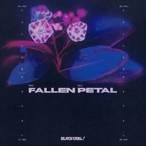 Fallen Petal