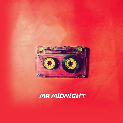 Mr Midnight