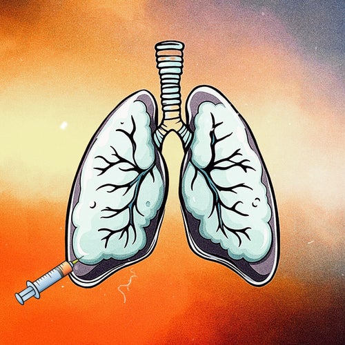 MUSICANABOL