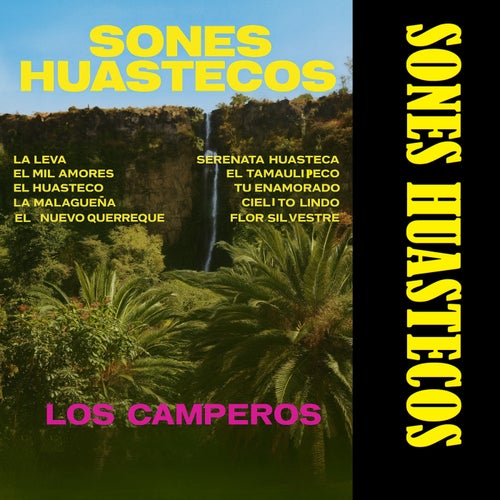 Sones huastecos