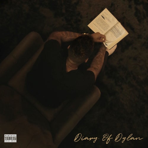 Diary of Dylan