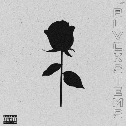 BLVCK STEMS