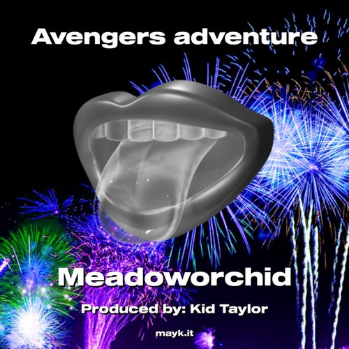 Avengers adventure