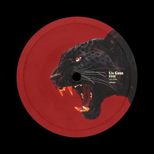 Release of the week