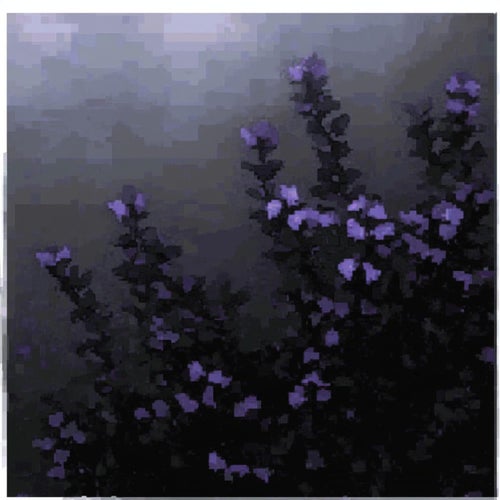 She Make It Clap (Hoodtrap)